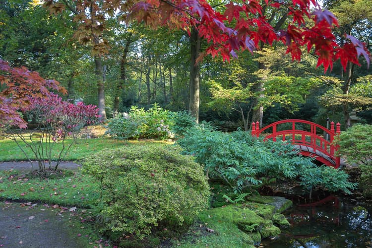 Rustige Tuin met Brug