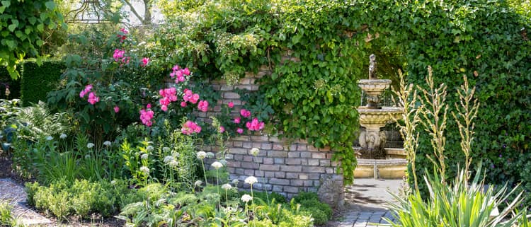 Rustige Tuin met Fontein