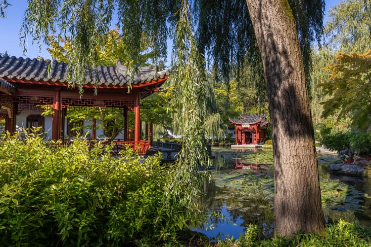 Rustige Chinese Tuin