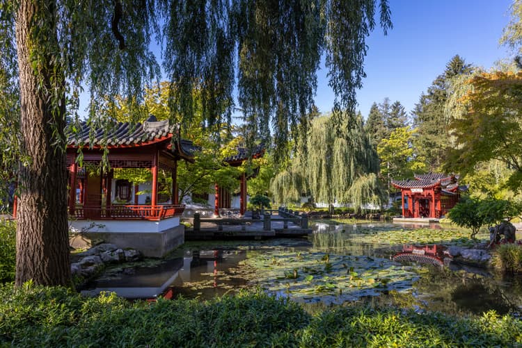 Rustige Chinese Tuin