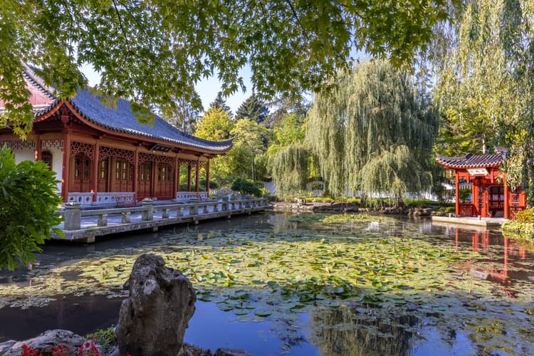 Rustige Tuin met Vijver