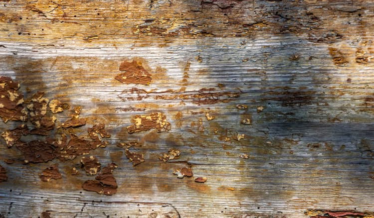 Verweerd Houtpatroon