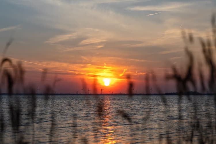 Zonsondergang bij Water