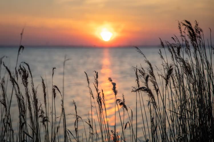 Zonsondergang bij het Water
