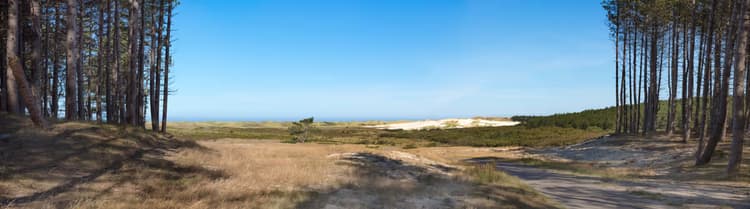 Duinlandschap bij Zee