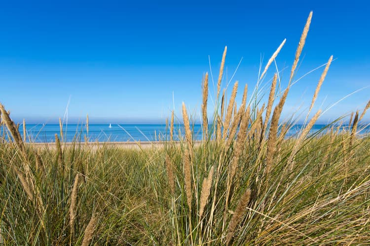 Zomer aan het Strand