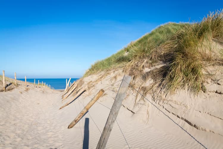 Zandpad naar de Zee