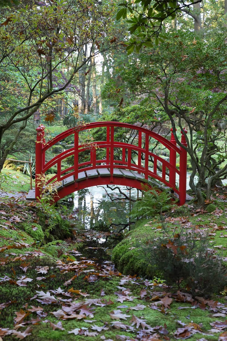 Rode Brug in de Natuur