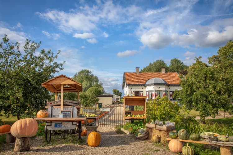 Boerderij met Pompoenen
