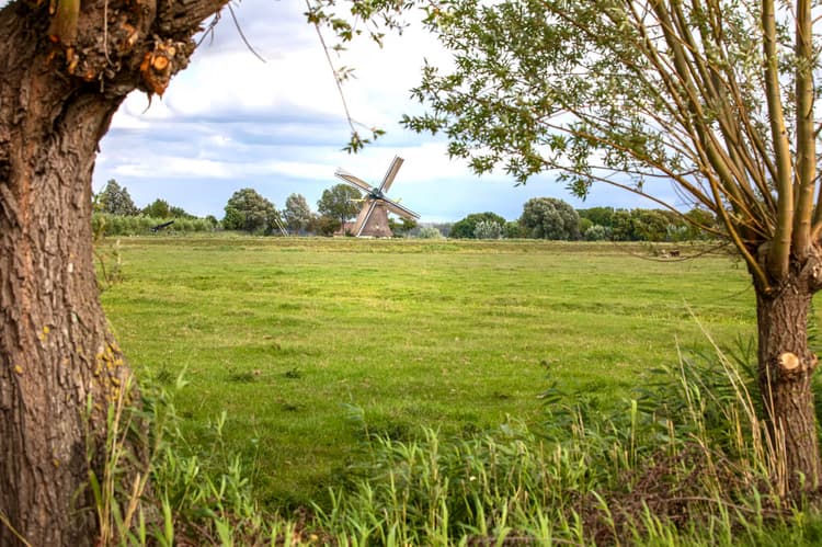 Molen in het Groene