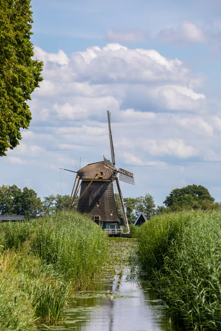 Molen in het Groene