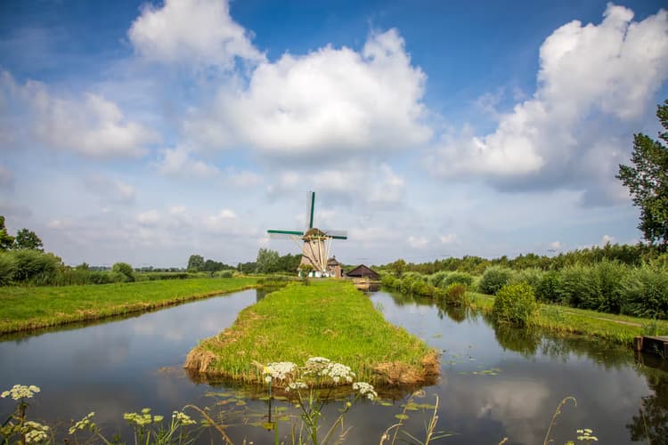 Molen in het landschap