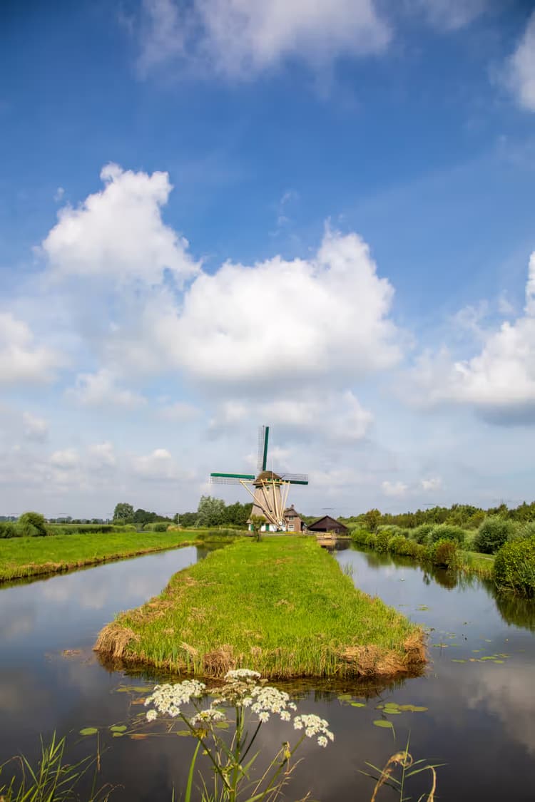 Molen in het Groene Hart
