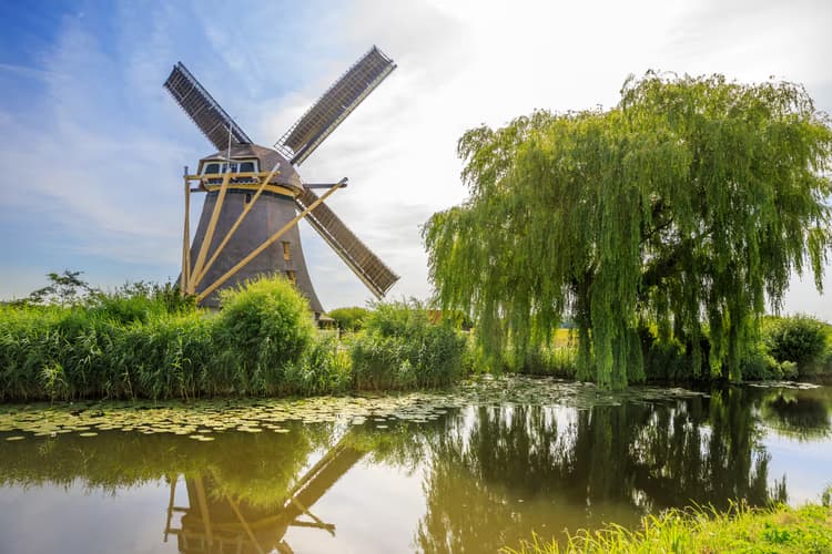 Molen bij de Waterkant