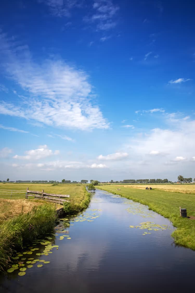 Rustig Waterlandschap