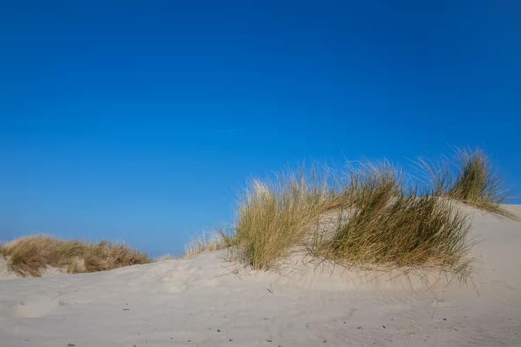 Zandduinen onder de zon