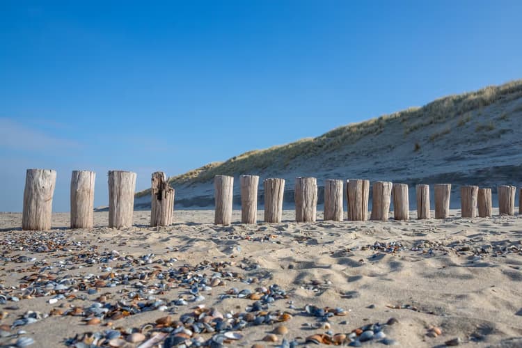 Strandpalen in de zon