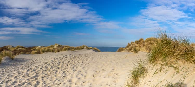 Zandduinen bij de Zee