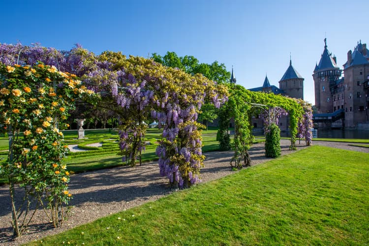 Kasteel met Bloemenpaden