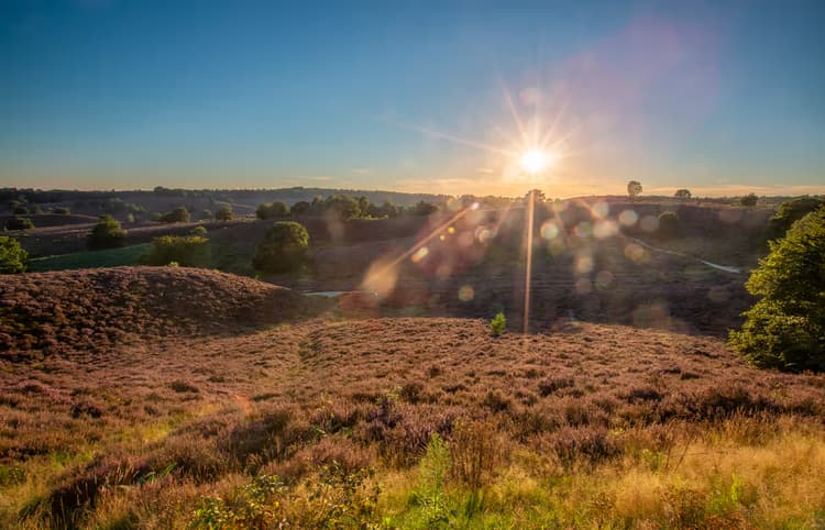 Zonsopgang in de Natuur