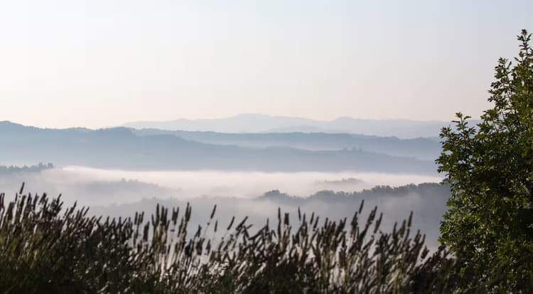 Mistige Ochtendlandschap