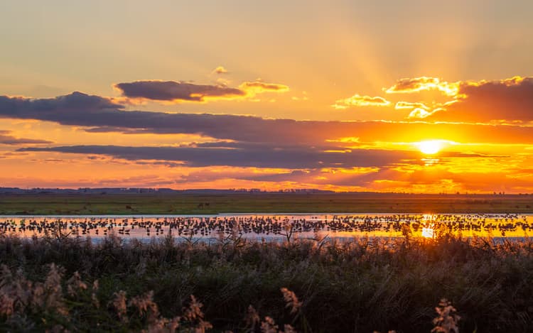Zonsondergang in de Natuur
