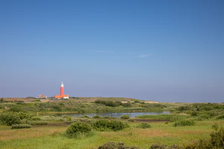 Vuurtoren in de natuur