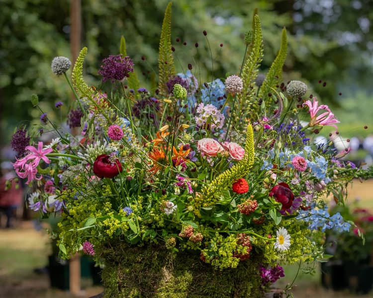 Kleurrijke Bloemenpracht