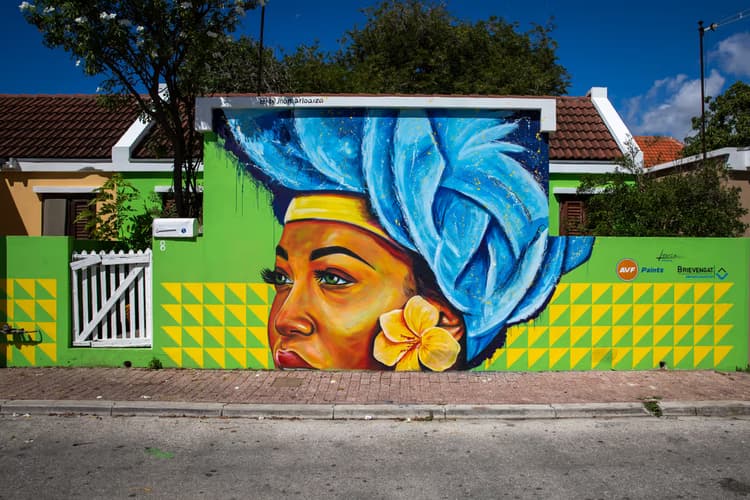 Kleurrijke Muurkunst