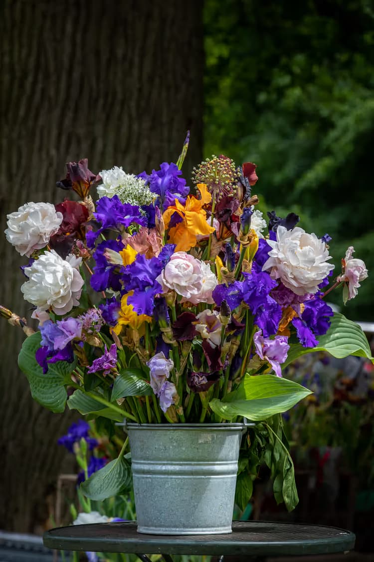 Kleurrijke Bloemenpracht