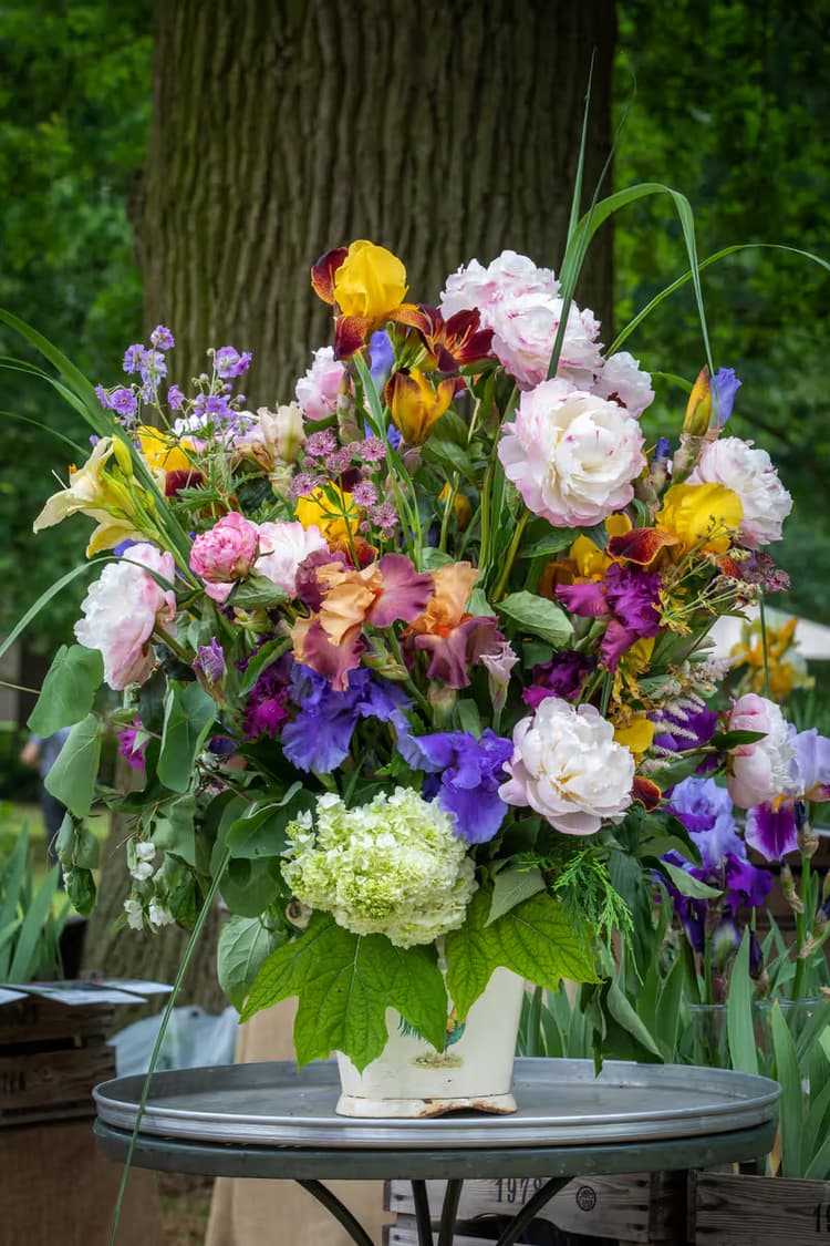 Kleurrijke Bloemenmix