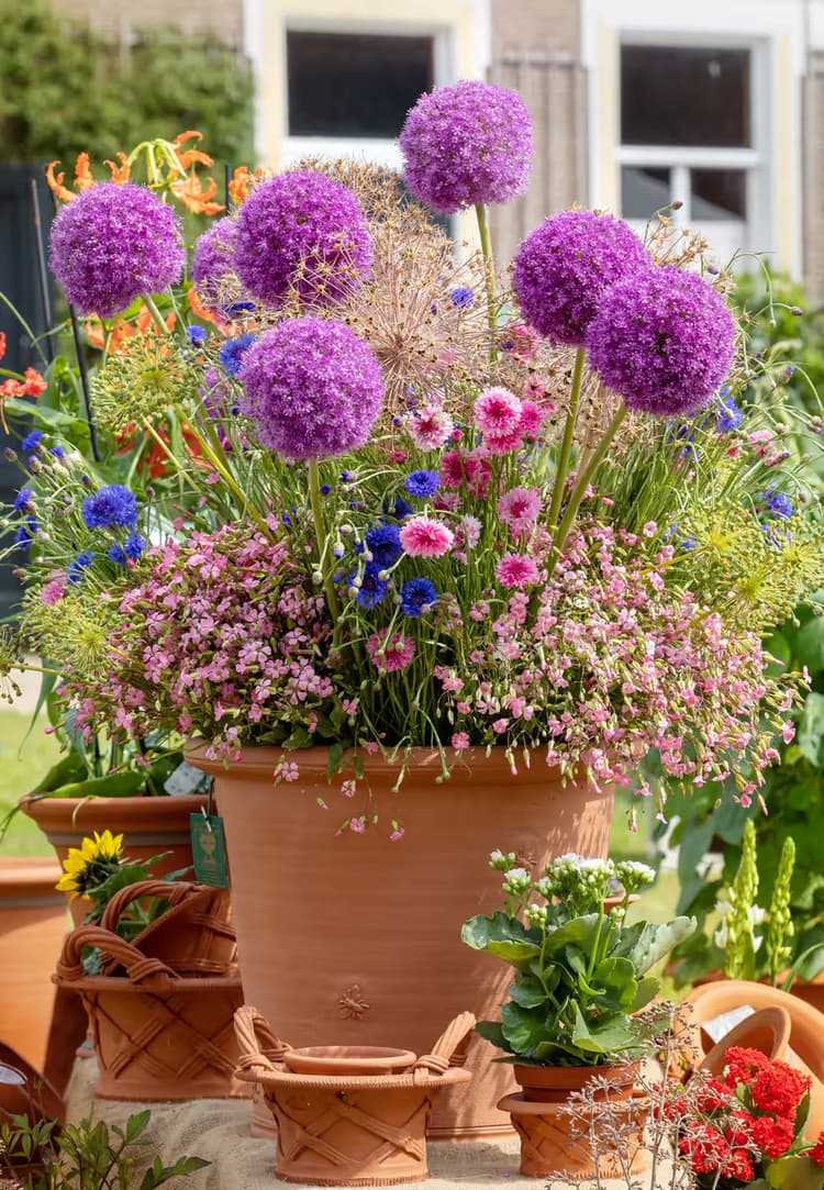 Kleurrijke Bloemenpracht