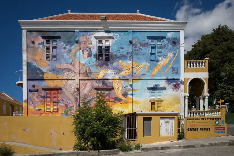 Kleurrijke Muurkunst