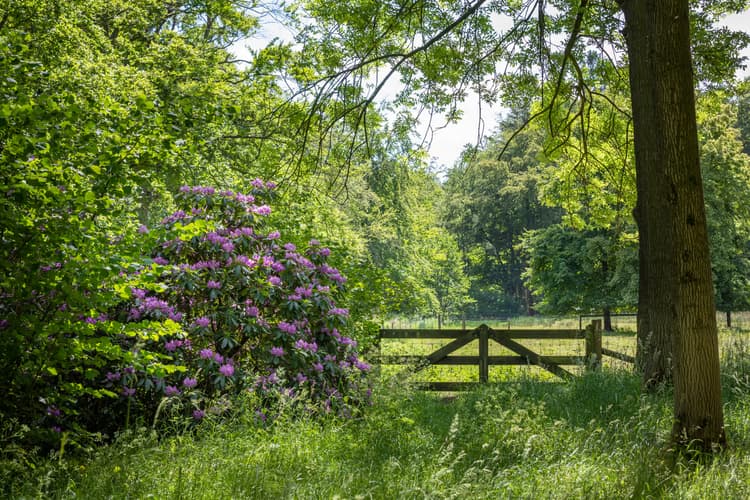 Groene Poort naar Rust