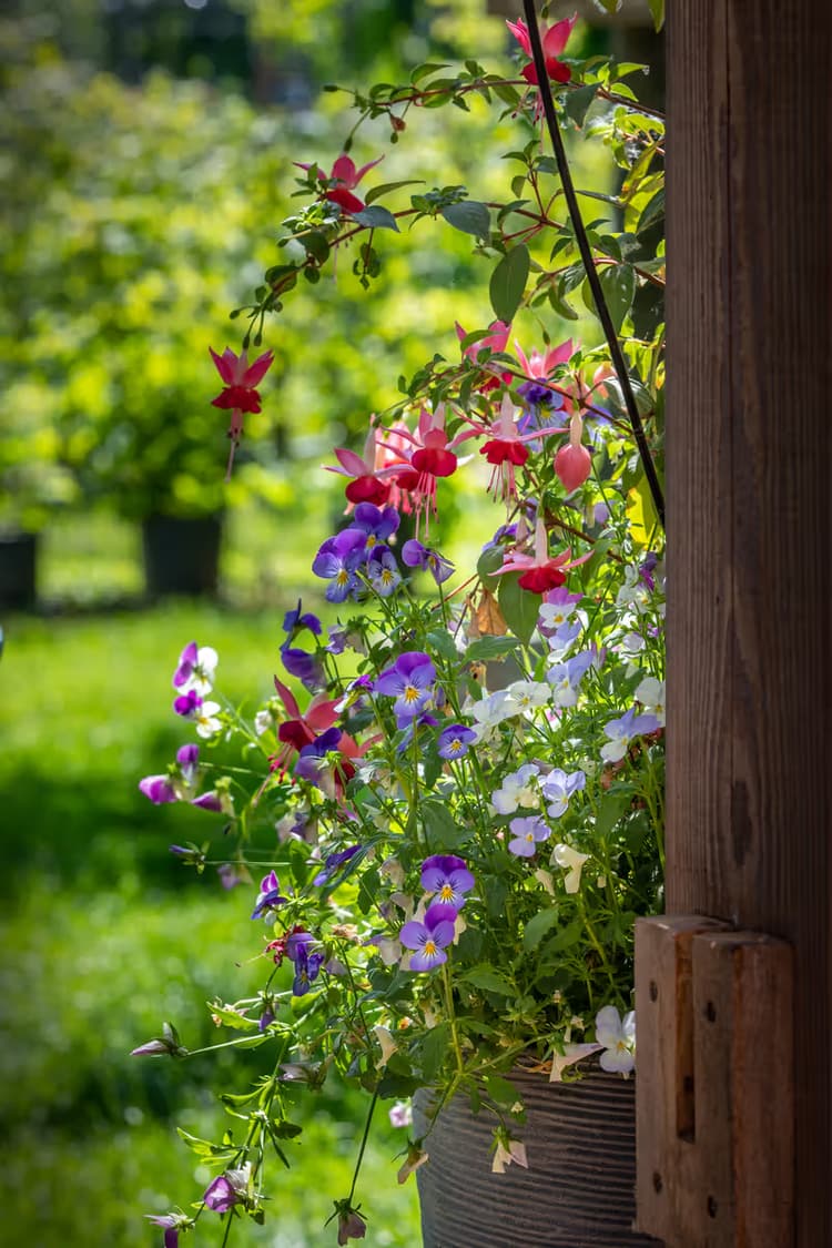 Kleurrijke Bloemenpracht