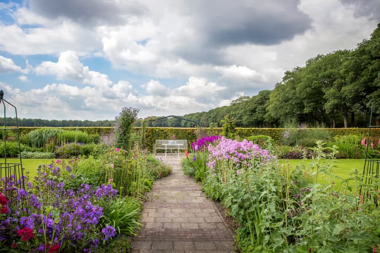 Bloemenpracht in de Tuin