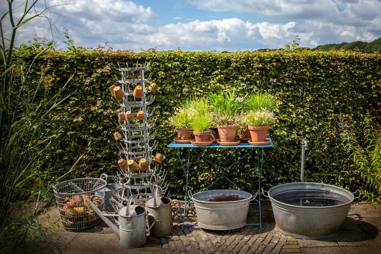 Tuininrichting en Planten