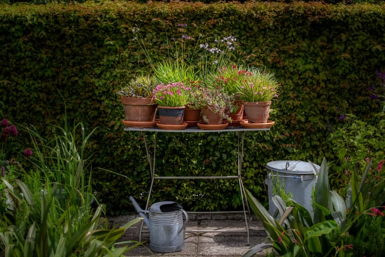 Groentafel in de Tuin