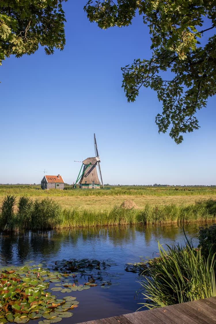 Molen in het landschap