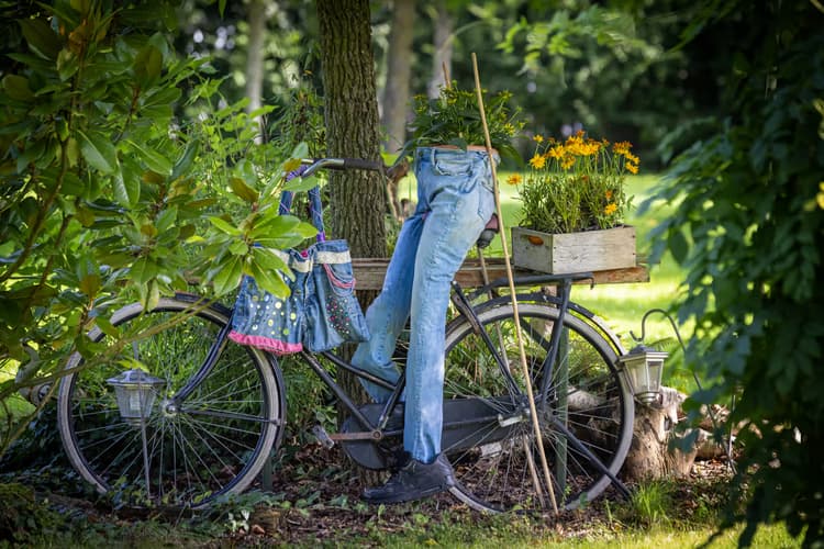 Fiets in de Tuin