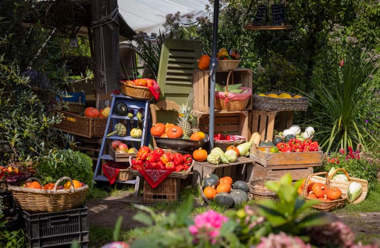 Kleurrijke Groentetuin