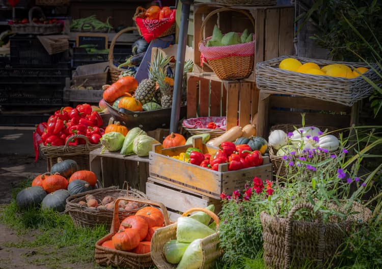 Kleurrijke Marktproducten