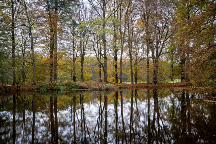 Herfstreflecties