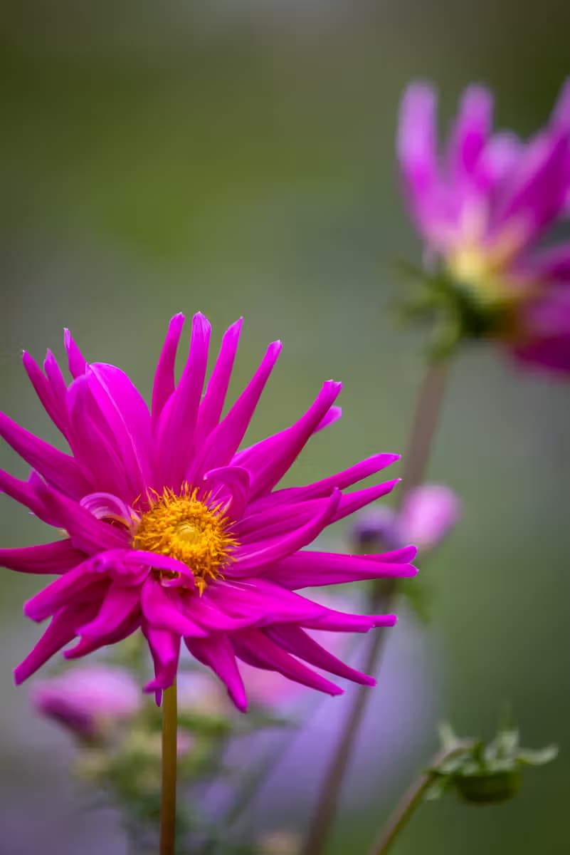 1D6A6733-bewerkt kopie.jpg