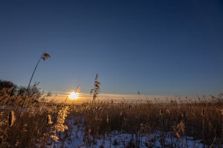 Zonsopgang in de natuur