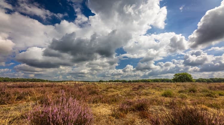 Prachtig Heuvellandschap