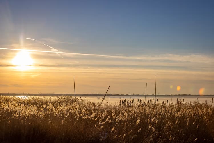 Zonsondergang bij het Water