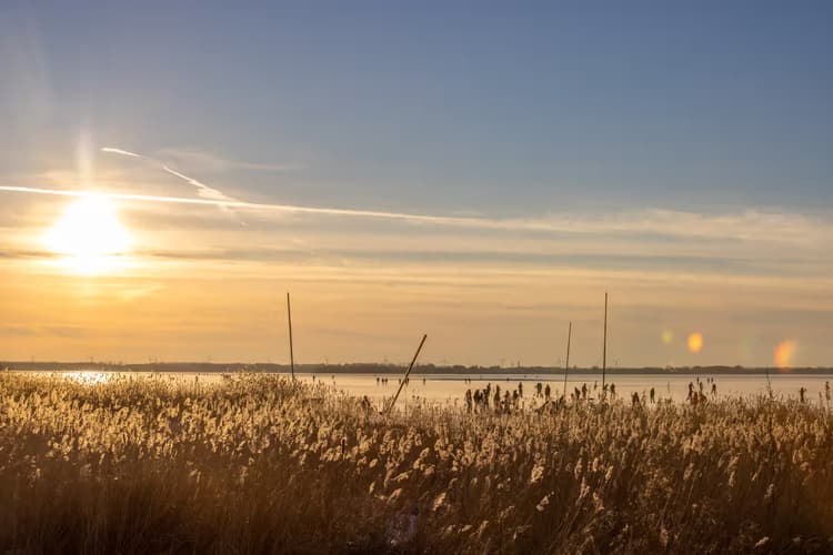 Zonsondergang bij het Water