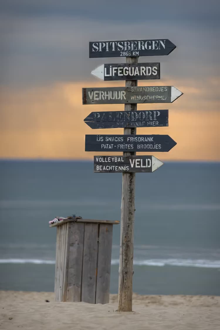 Strandwijzers bij zonsondergang