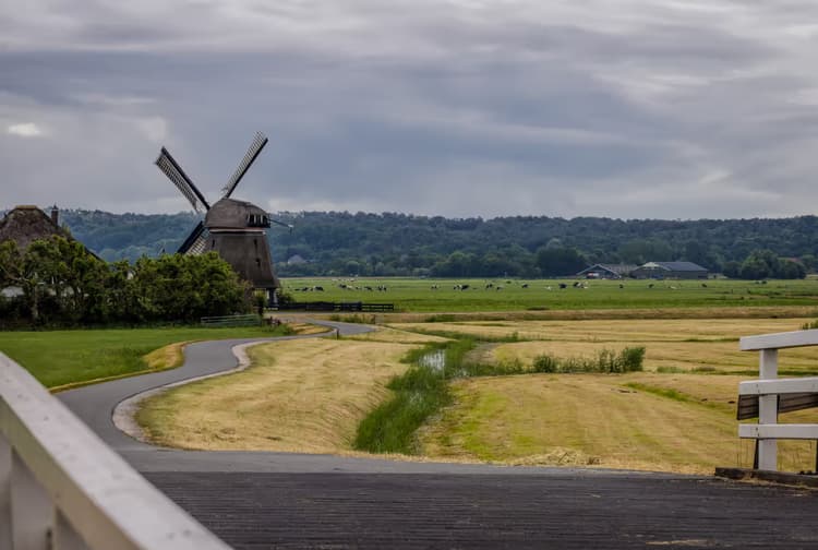 Molen in het landschap